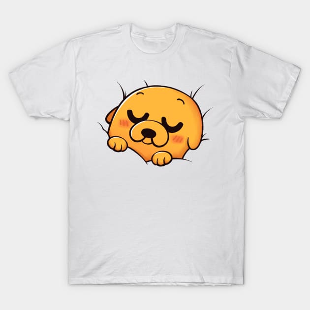 sleeping Jake, Adventure time T-Shirt by marceloosapo